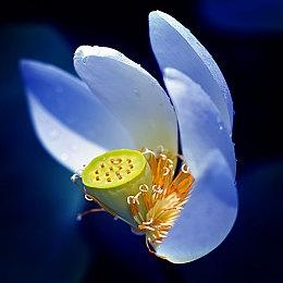 《孤岛惊魂》系列总监换人 新作或与2025年推出